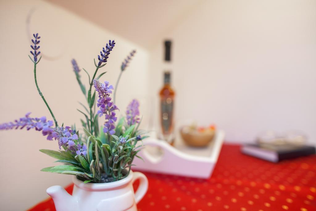 Apartament Angelus Dubrownik